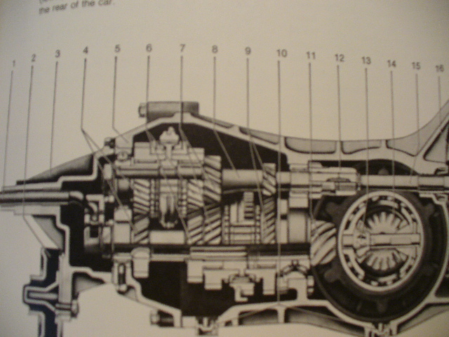 Image may have been reduced in size. Click image to view fullscreen.