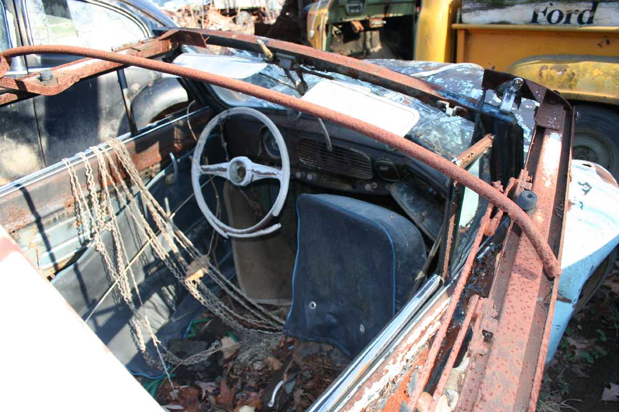 Image may have been reduced in size. Click image to view fullscreen.
