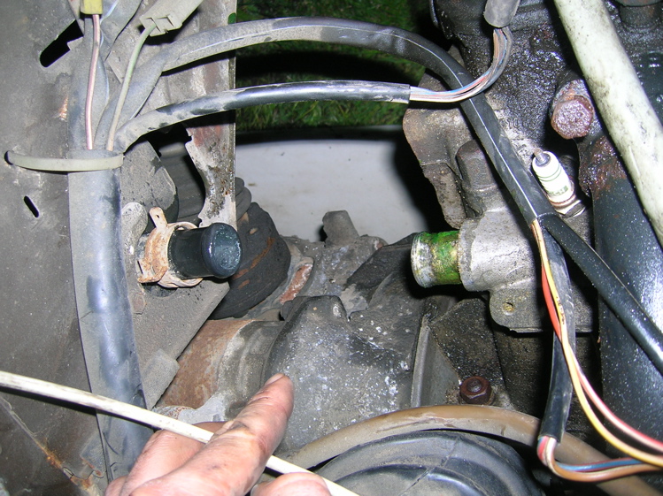 Image may have been reduced in size. Click image to view fullscreen.