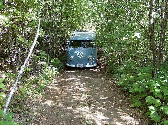 Image may have been reduced in size. Click image to view fullscreen.