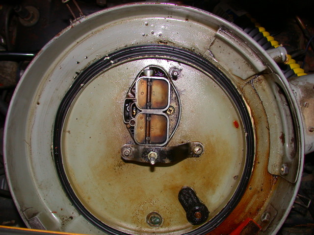 Image may have been reduced in size. Click image to view fullscreen.