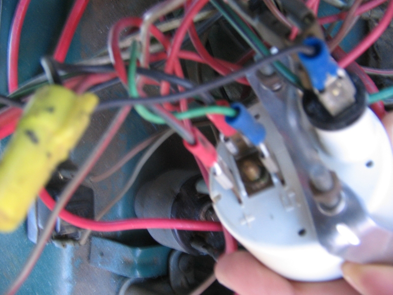 Image may have been reduced in size. Click image to view fullscreen.