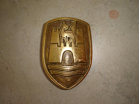 vw belt buckle