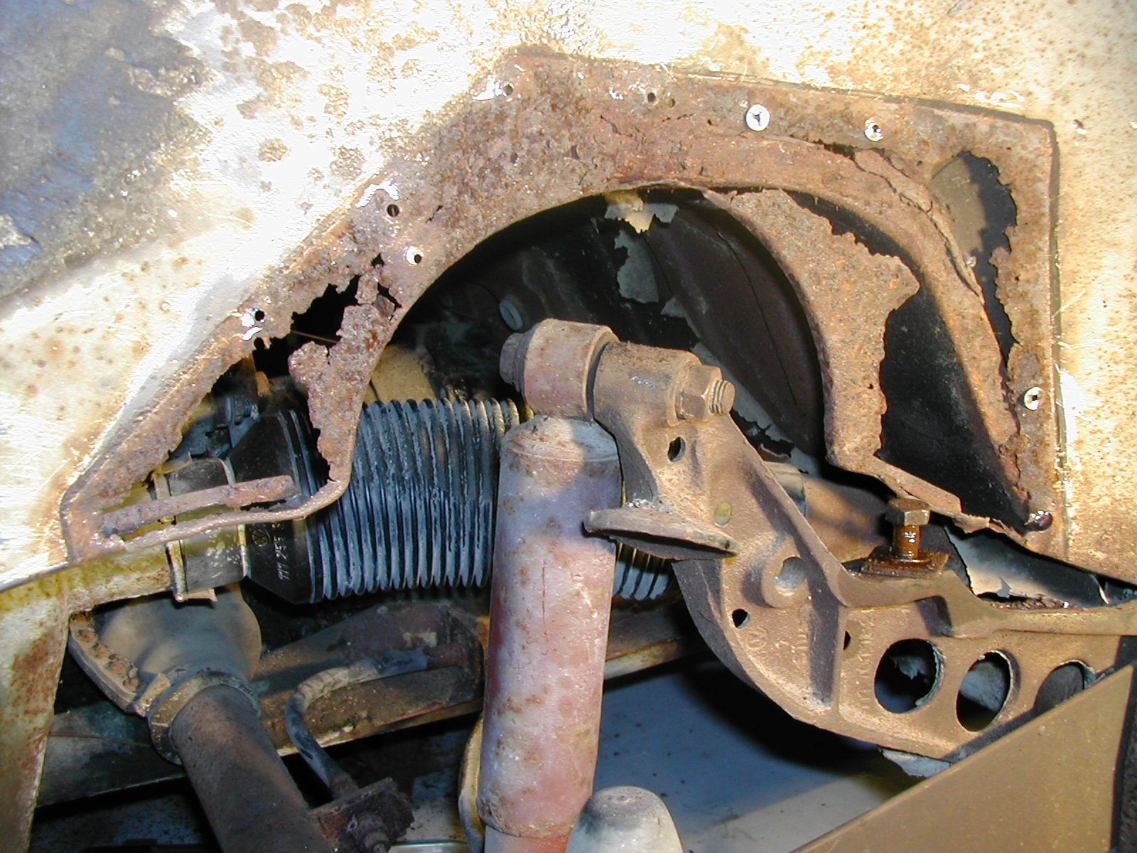 Image may have been reduced in size. Click image to view fullscreen.