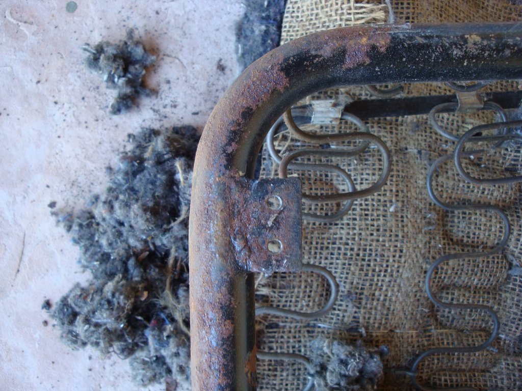 Image may have been reduced in size. Click image to view fullscreen.