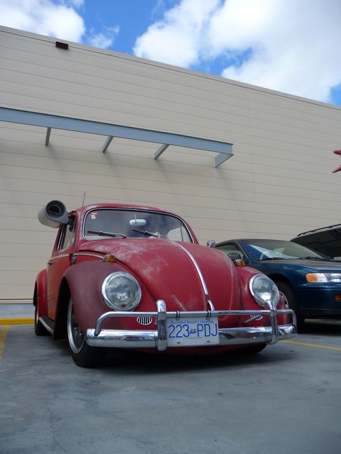 Image may have been reduced in size. Click image to view fullscreen.