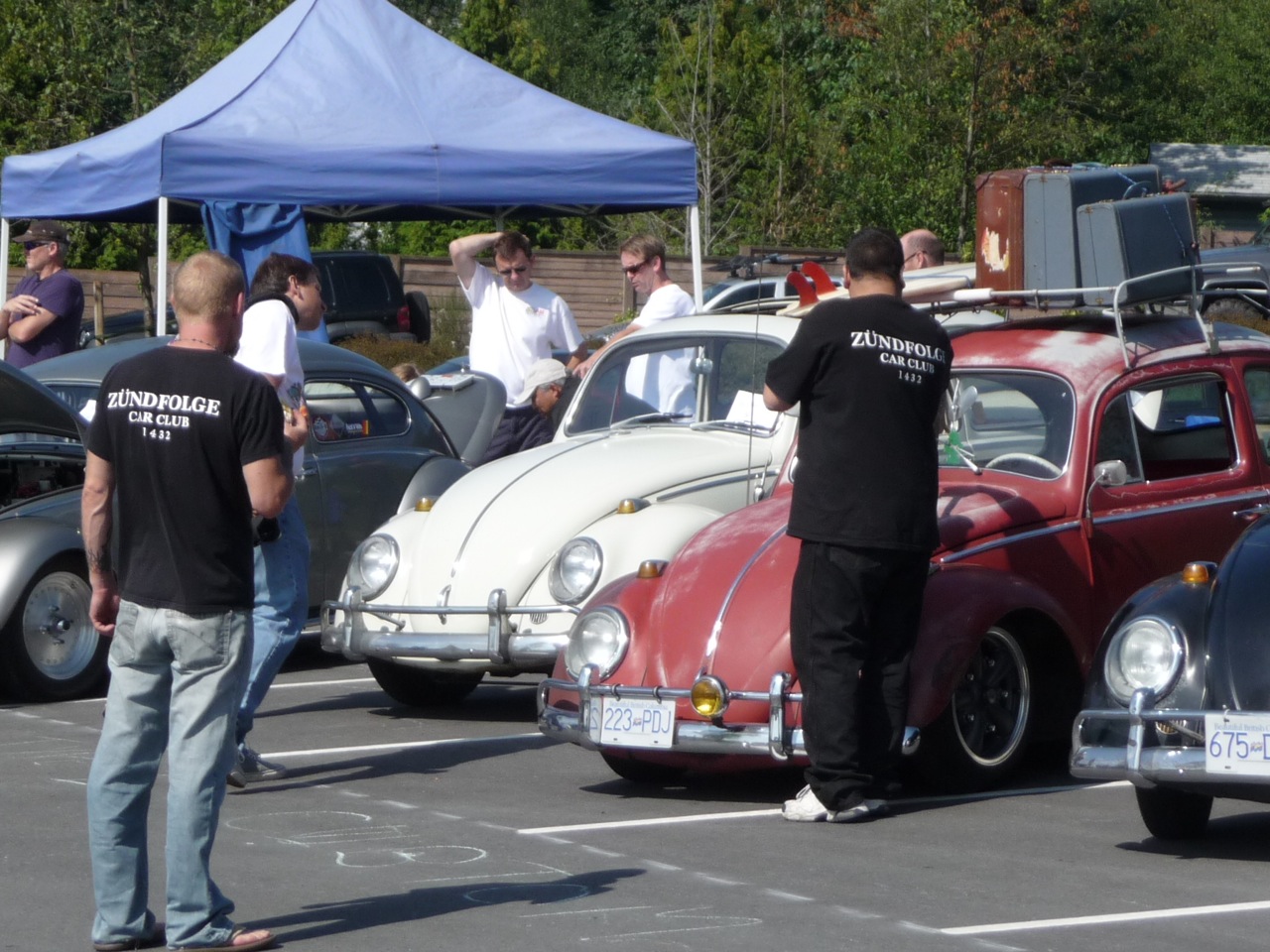 Image may have been reduced in size. Click image to view fullscreen.