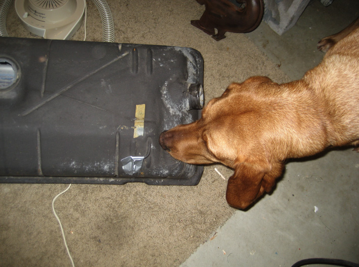 Image may have been reduced in size. Click image to view fullscreen.