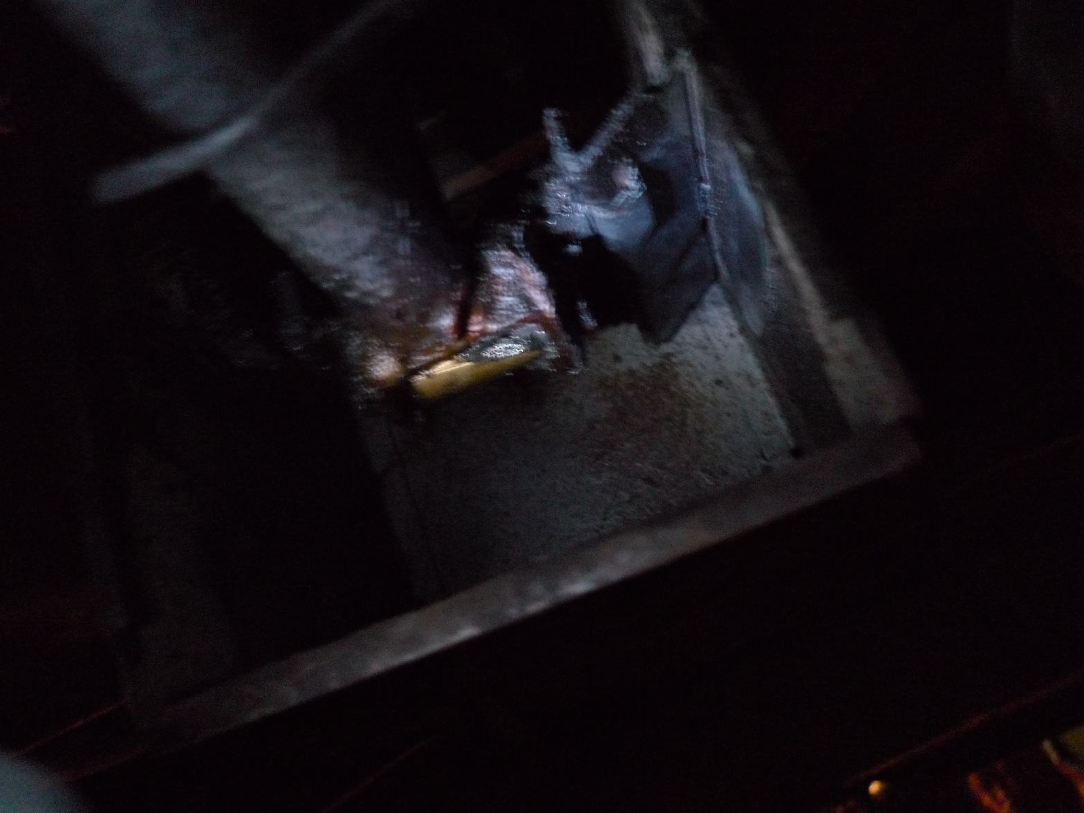 Image may have been reduced in size. Click image to view fullscreen.