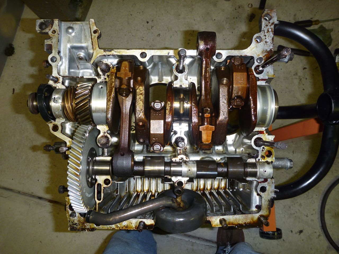 Image may have been reduced in size. Click image to view fullscreen.