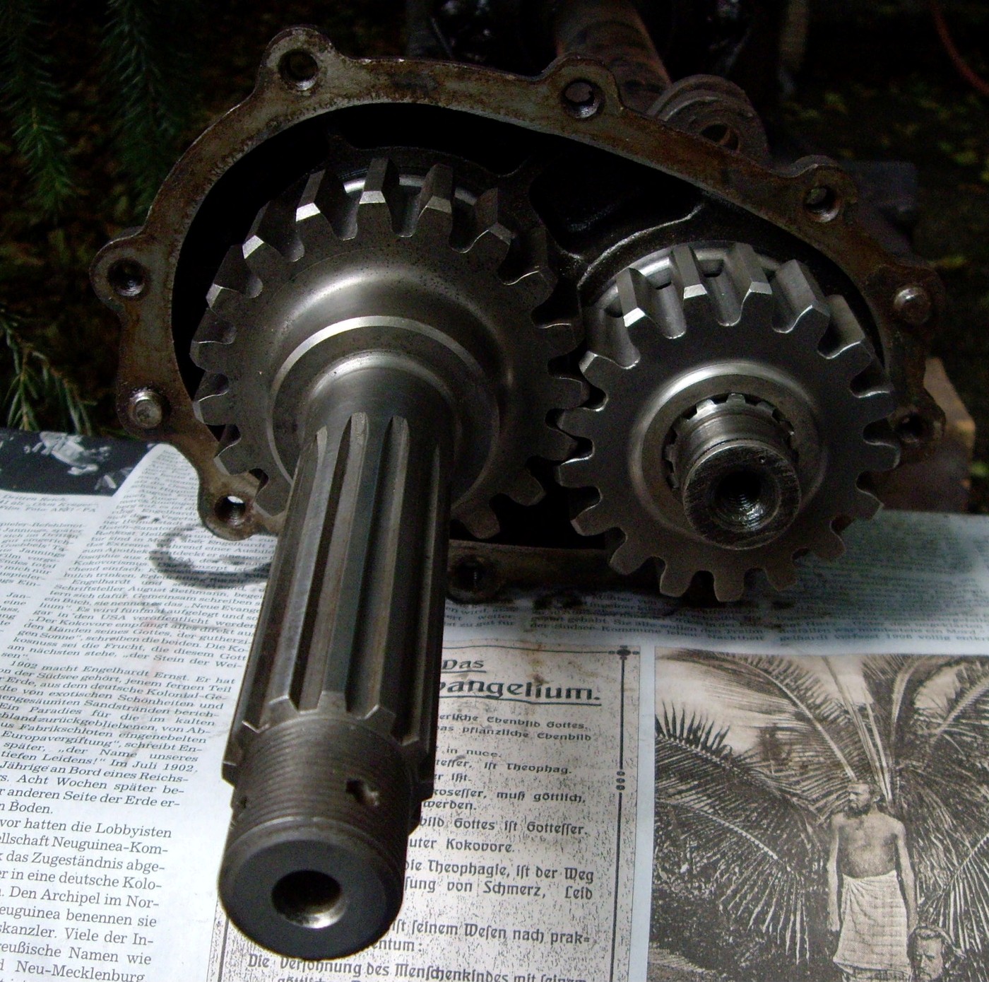 Image may have been reduced in size. Click image to view fullscreen.