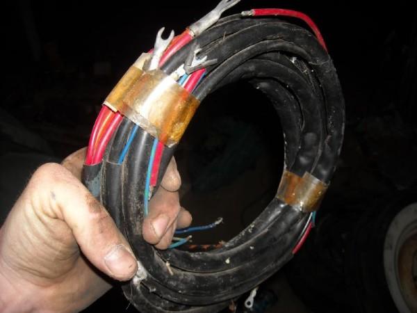 Image may have been reduced in size. Click image to view fullscreen.