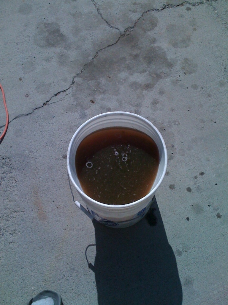 Image may have been reduced in size. Click image to view fullscreen.