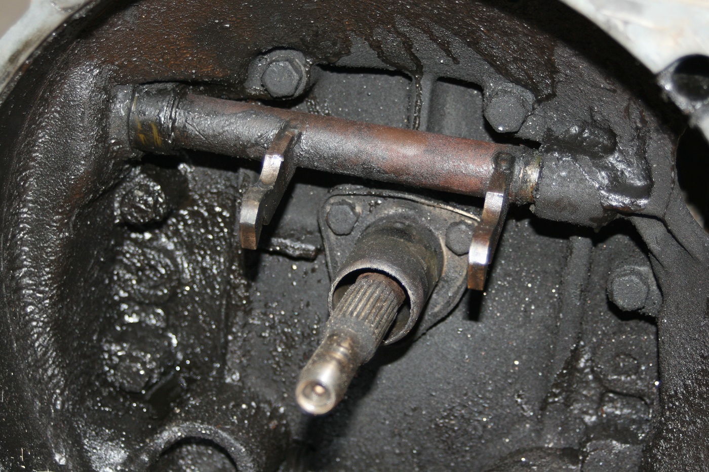 Image may have been reduced in size. Click image to view fullscreen.