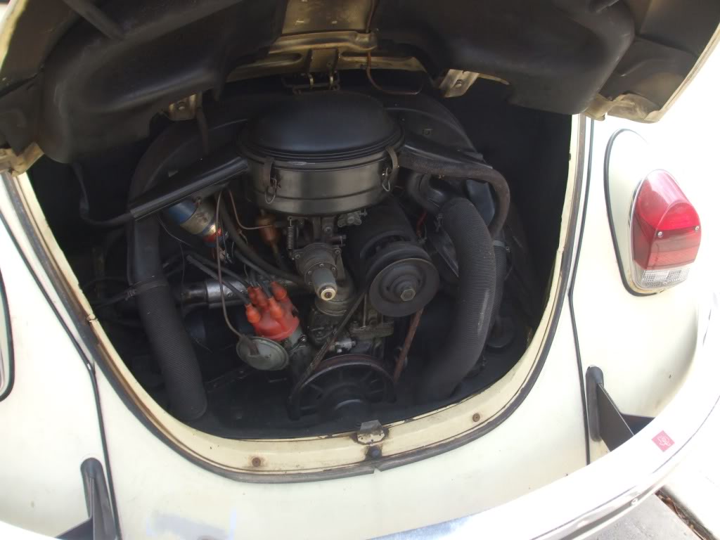 Image may have been reduced in size. Click image to view fullscreen.