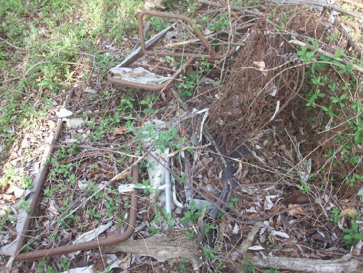 Image may have been reduced in size. Click image to view fullscreen.