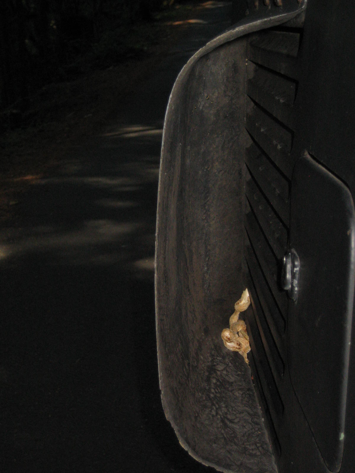 Image may have been reduced in size. Click image to view fullscreen.