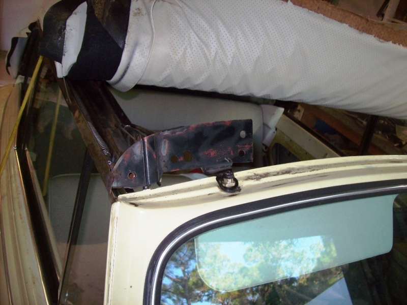 Image may have been reduced in size. Click image to view fullscreen.