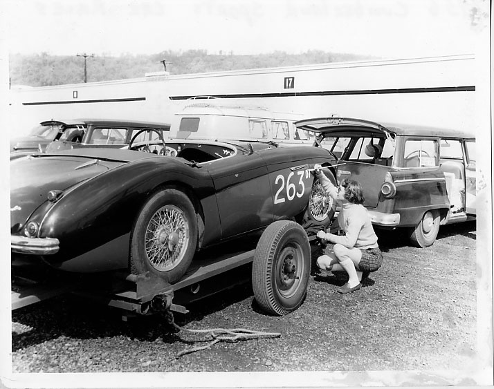 Image may have been reduced in size. Click image to view fullscreen.