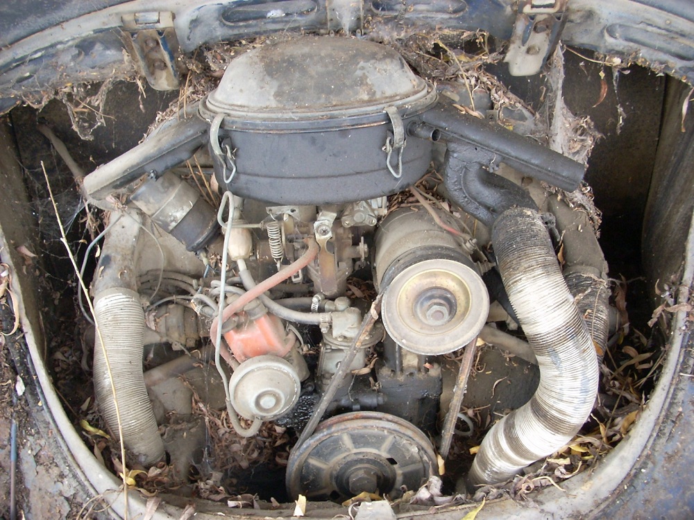 Image may have been reduced in size. Click image to view fullscreen.