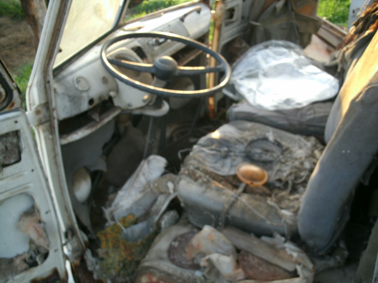 Image may have been reduced in size. Click image to view fullscreen.