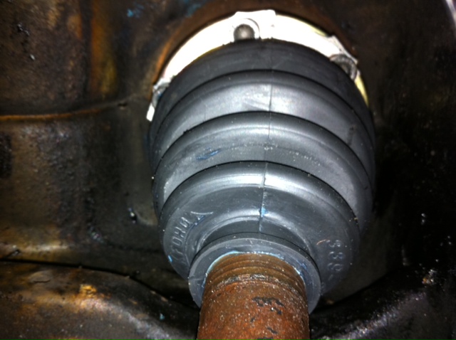 Image may have been reduced in size. Click image to view fullscreen.