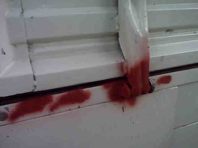 Image may have been reduced in size. Click image to view fullscreen.