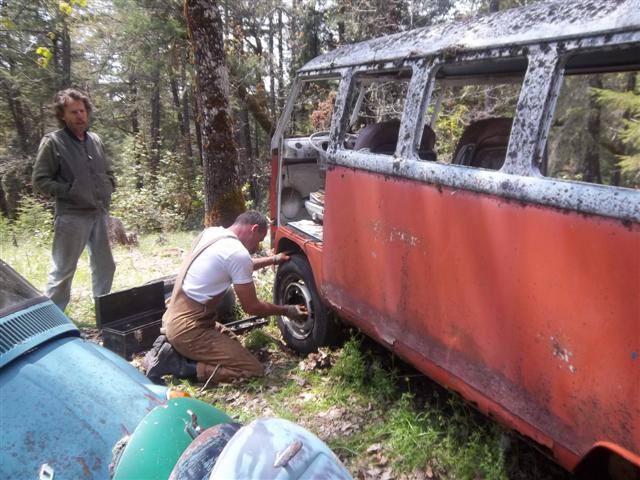 Image may have been reduced in size. Click image to view fullscreen.