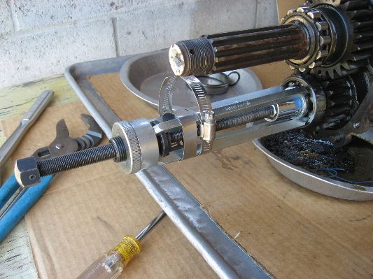 Image may have been reduced in size. Click image to view fullscreen.