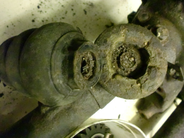 Image may have been reduced in size. Click image to view fullscreen.