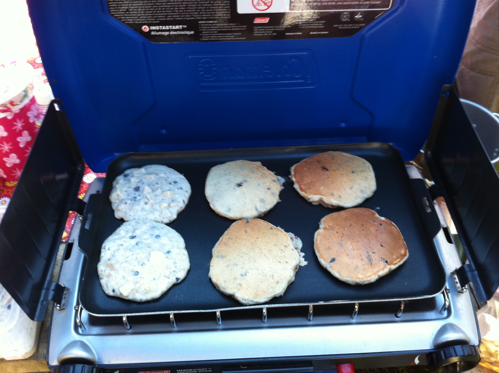 Image may have been reduced in size. Click image to view fullscreen.