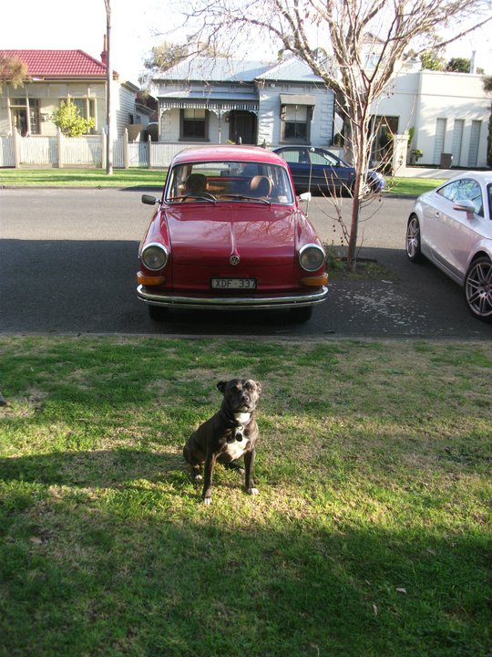 Image may have been reduced in size. Click image to view fullscreen.