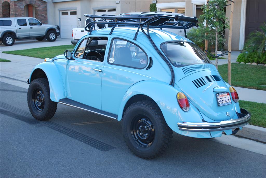 class 11 bug for sale