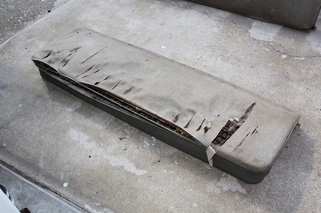 Image may have been reduced in size. Click image to view fullscreen.