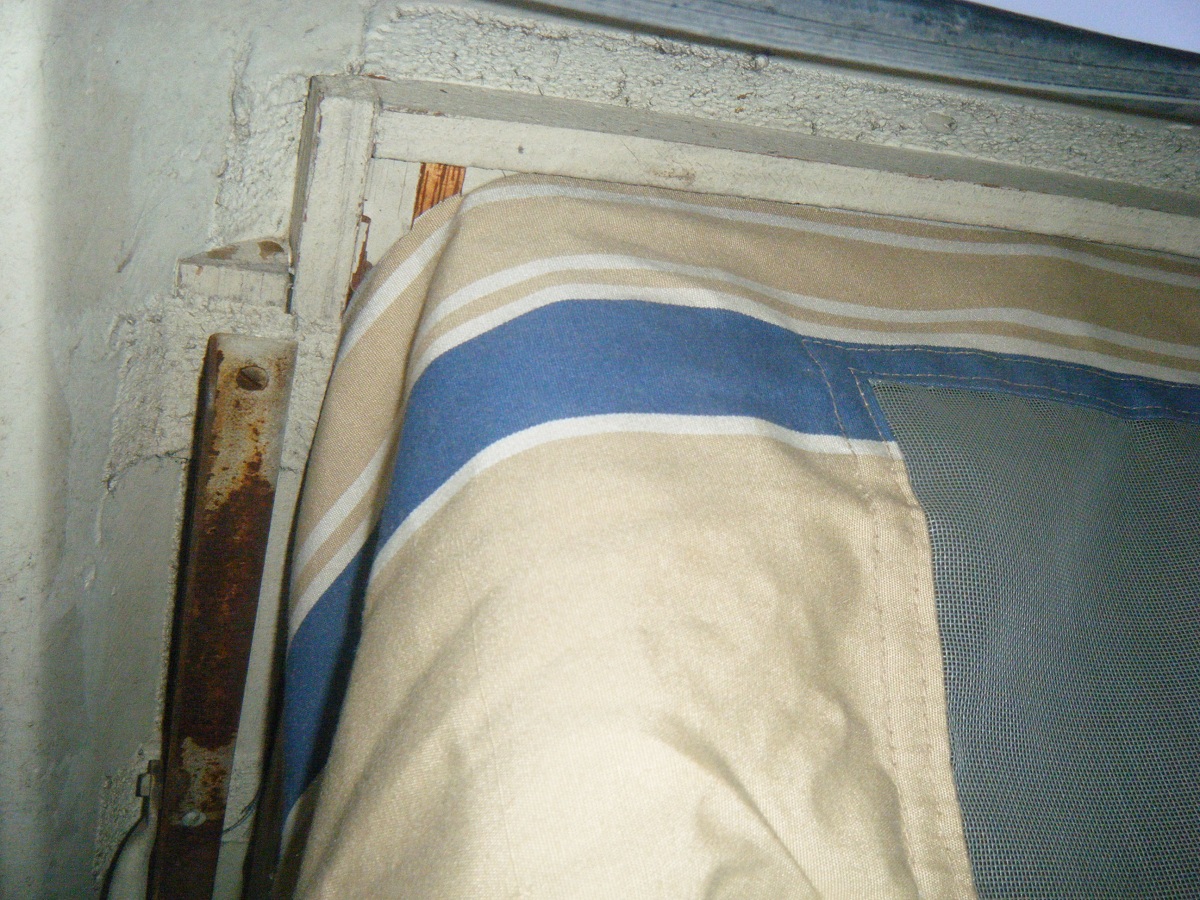 Image may have been reduced in size. Click image to view fullscreen.