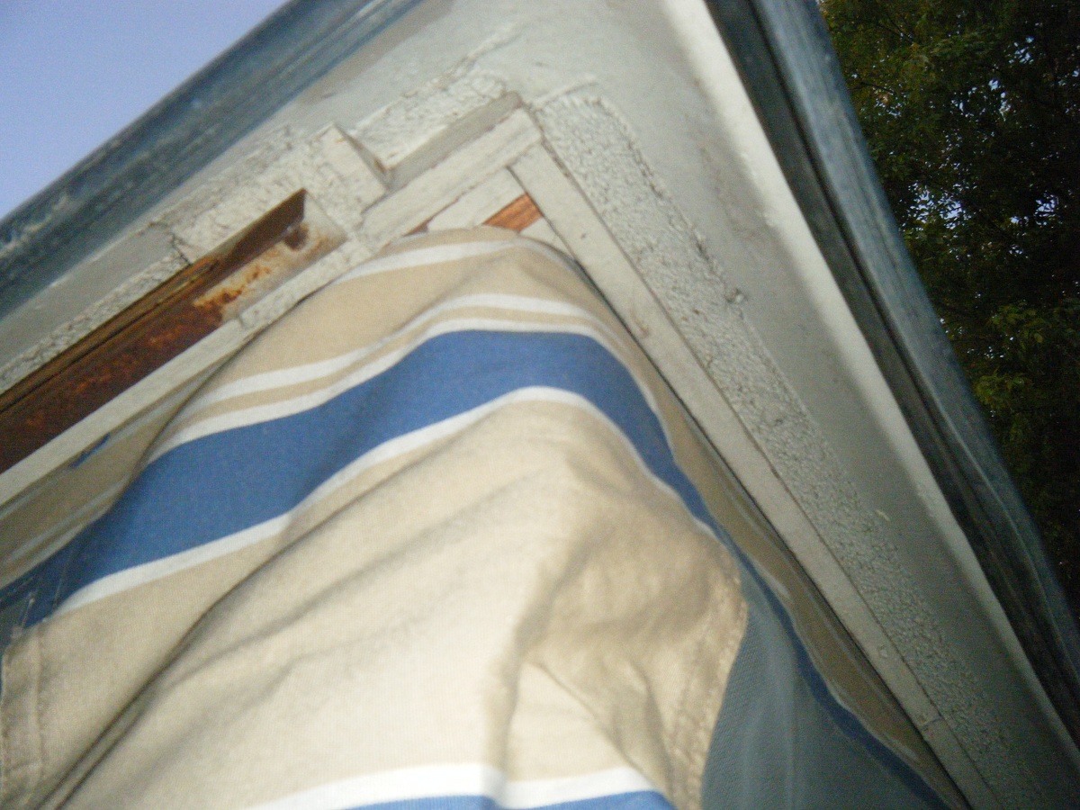 Image may have been reduced in size. Click image to view fullscreen.