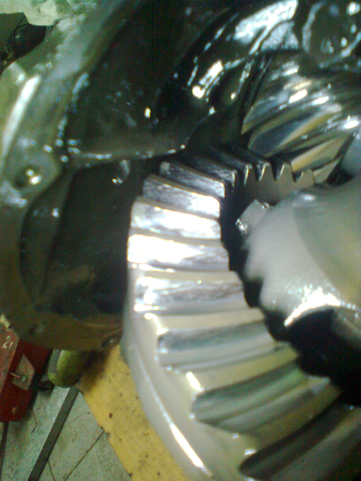 Image may have been reduced in size. Click image to view fullscreen.