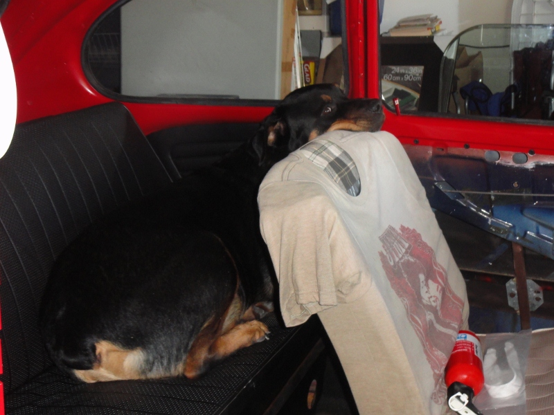 Image may have been reduced in size. Click image to view fullscreen.