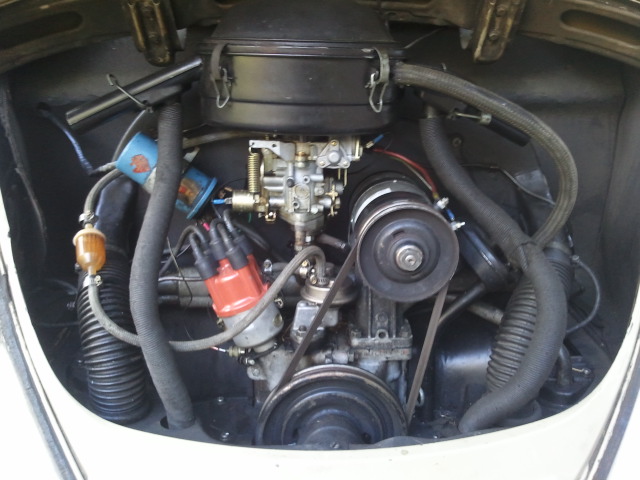 Image may have been reduced in size. Click image to view fullscreen.