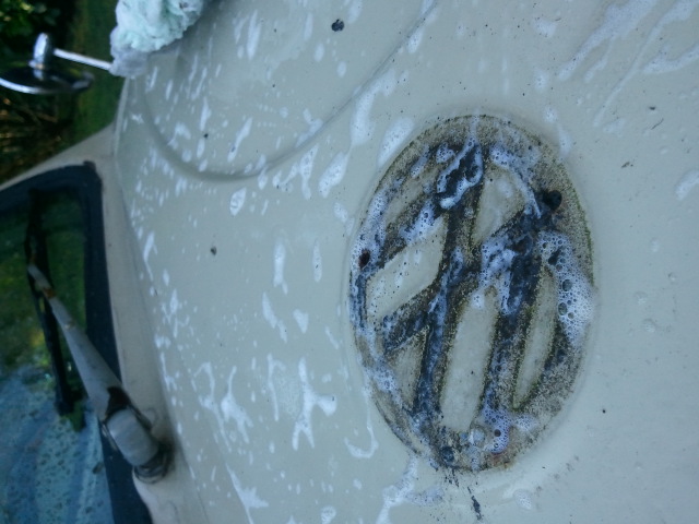 Image may have been reduced in size. Click image to view fullscreen.