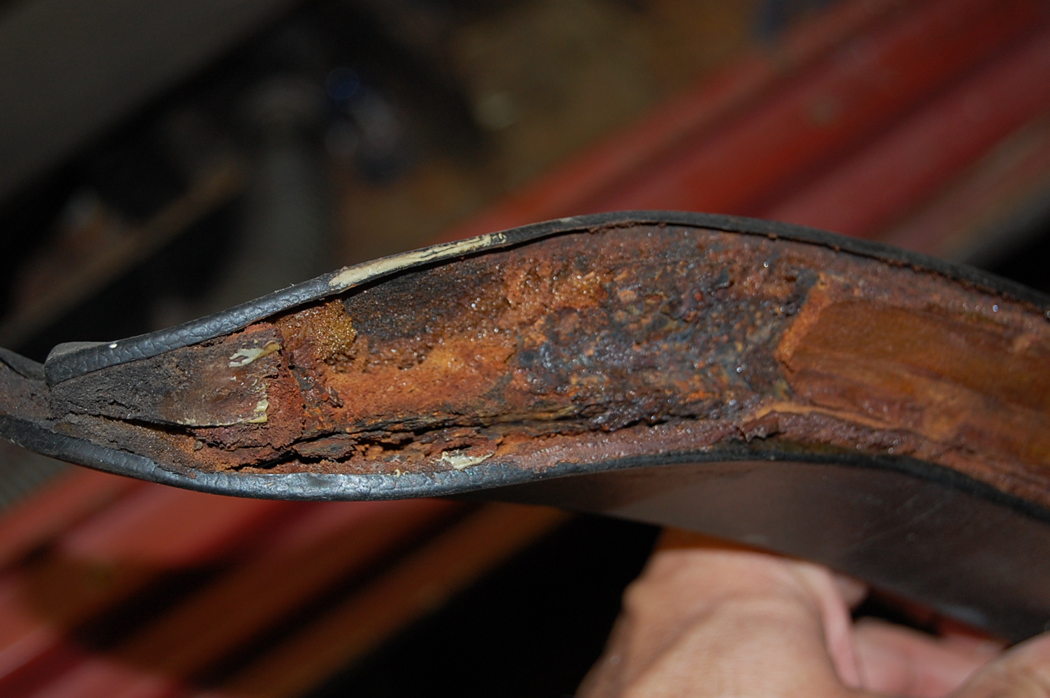 Image may have been reduced in size. Click image to view fullscreen.