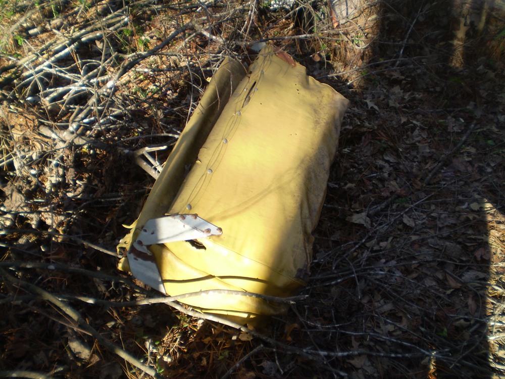 Image may have been reduced in size. Click image to view fullscreen.