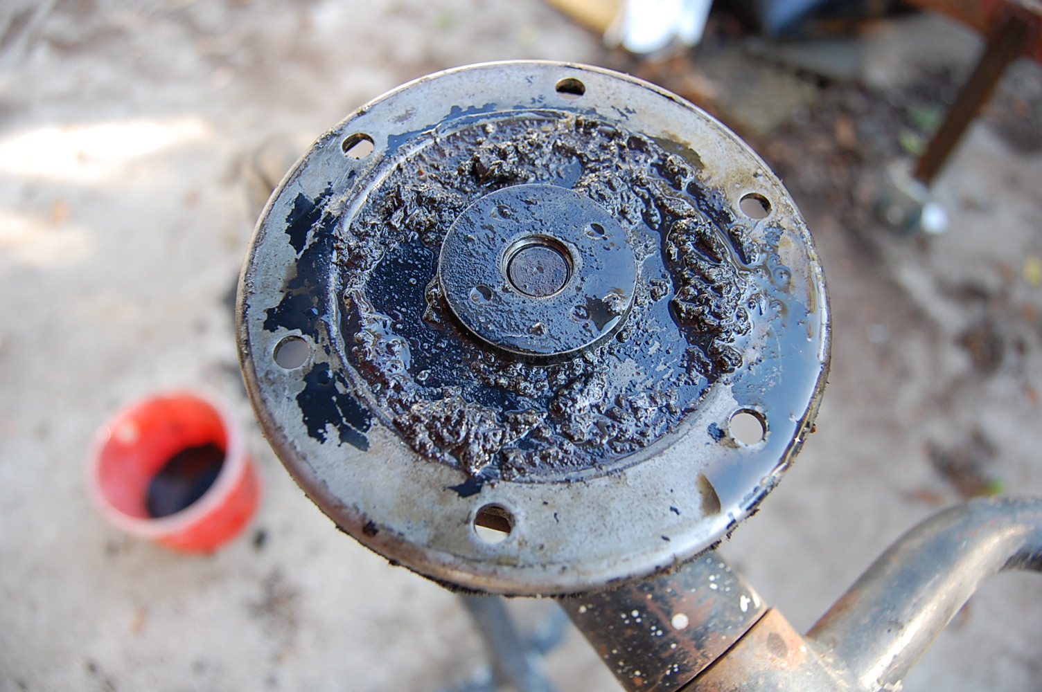 Image may have been reduced in size. Click image to view fullscreen.