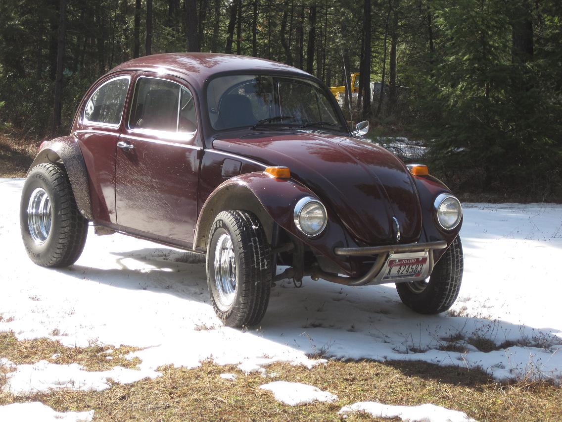 The samba baja bug discount