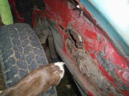 Image may have been reduced in size. Click image to view fullscreen.