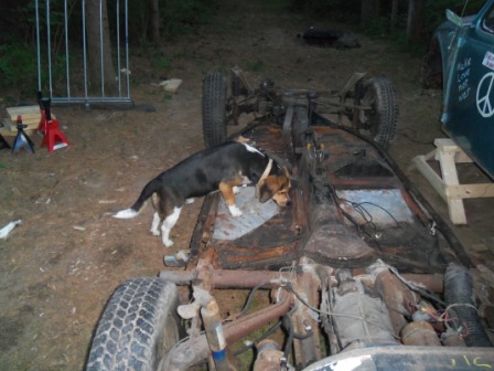 Image may have been reduced in size. Click image to view fullscreen.