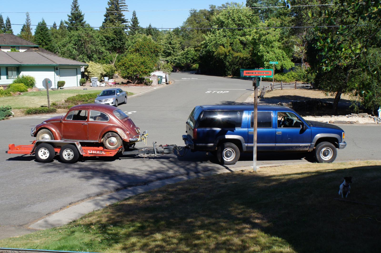 Image may have been reduced in size. Click image to view fullscreen.