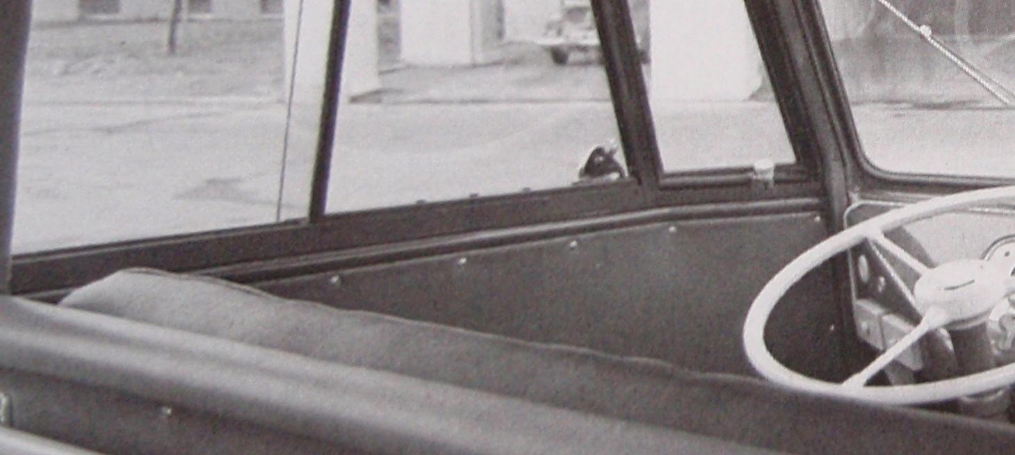 Image may have been reduced in size. Click image to view fullscreen.