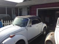 75 Beetle Convertible Barn find