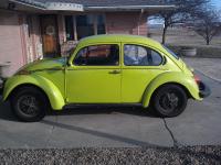 1974 Love Bug Ravenna Green